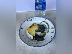 King Tom, a 72’ American tradition  plates (3), Maruta Ware (3), pie plates (2) and 1 vintage K&G Luneville France plate.