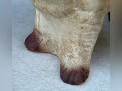 Chalk ware dogs, one is a bank