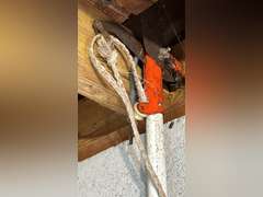 Pole limb lopper