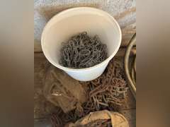 Tire chains, dog chain