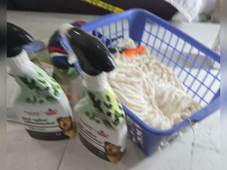 Mops, spray