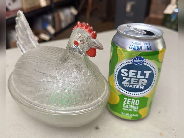 Hen on nest, clear