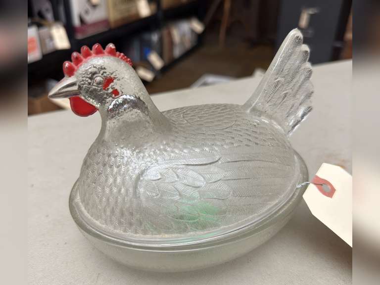 Hen on nest, clear