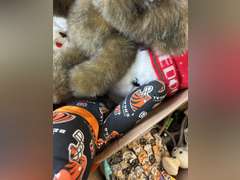 Two boxes with stuffed animals and kids toys