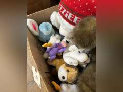 Two boxes with stuffed animals and kids toys