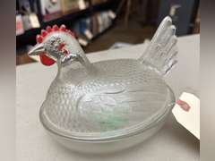 Hen on nest, clear