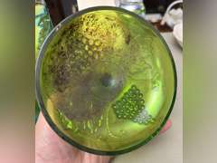 Vintage Indiana carnival glass