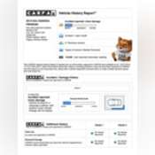 Thumbnail image of CARFAX Vehicle History Report for this 2015 KIA CADENZA PREMIUM_ KNALN4D76F5185452.pdf