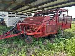 Bermuda King 5R24/RB/19 Sprig Planter