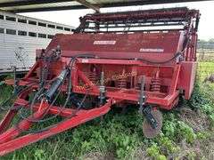 Bermuda King 5R24/RB/19 Sprig Planter