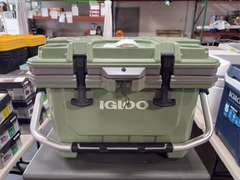 Igloo Cooler with Handle