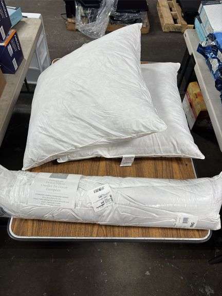(3) Downlite European Down Pillows
