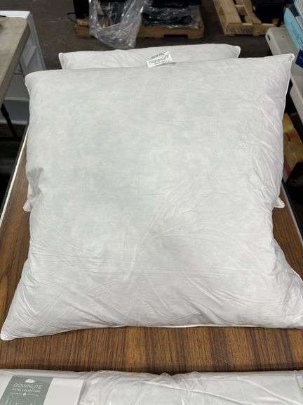 (3) Downlite European Down Pillows
