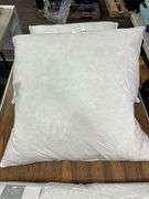 (3) Downlite European Down Pillows