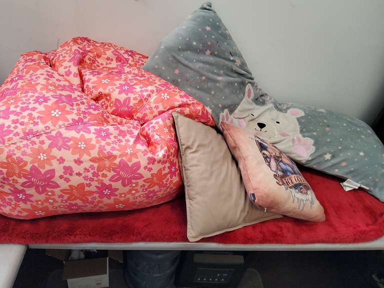 BEEN BAG CHAIR AND PILLOWS