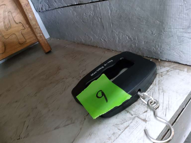 LUGGAGE SCALE