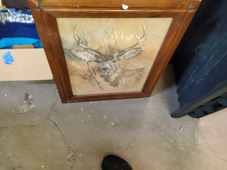 DEER PIC