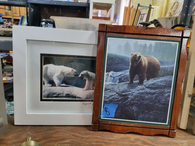 BEAR PICS