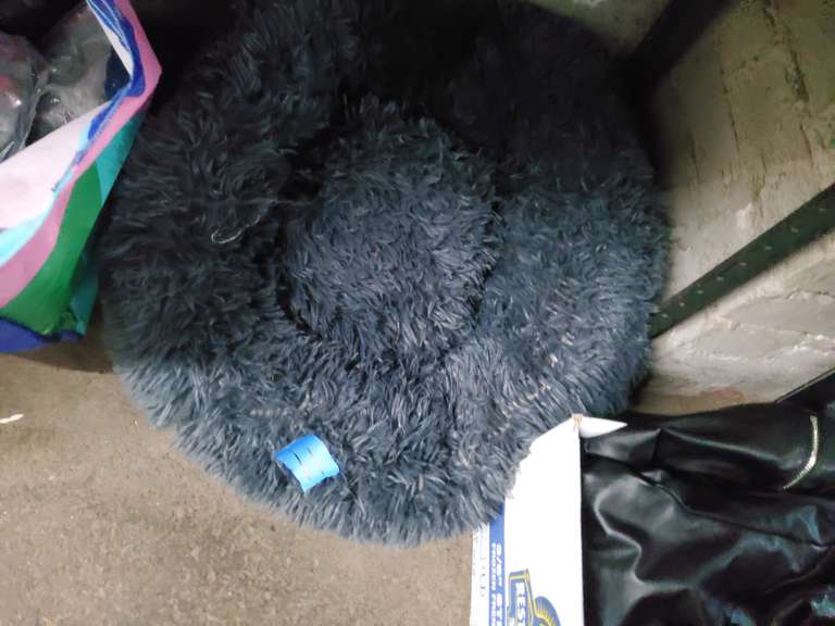 DOG BED