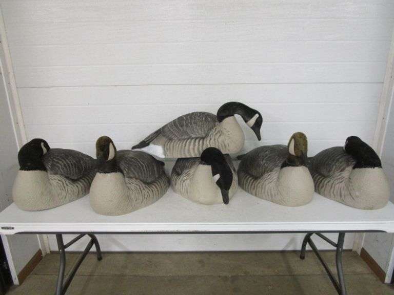 6 - Canada Goose Half Body Decoys