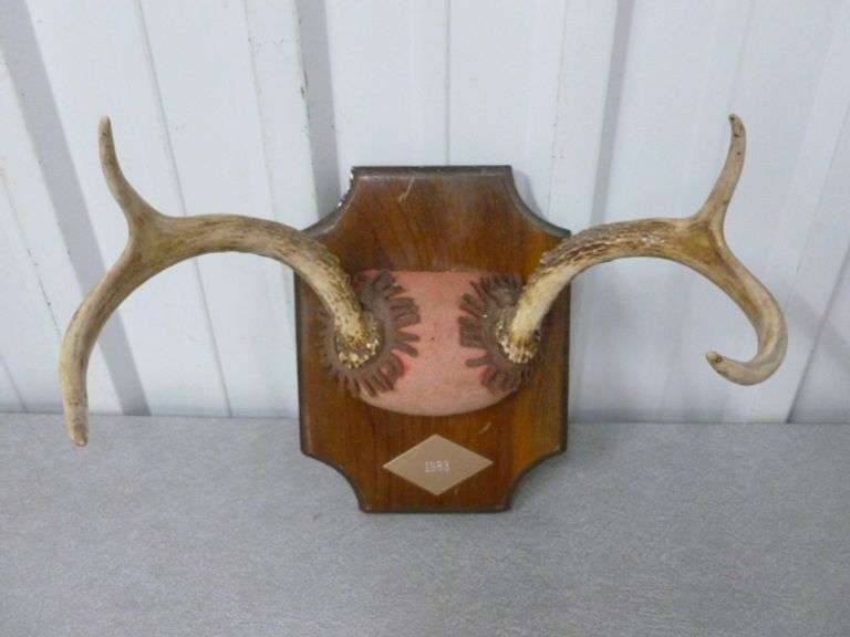 4 Point Deer Mount / On Board - 10.5" W