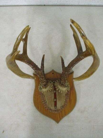 12 Point Deer Rack 10 Point Deer Rack (One Point Is Repaired) - Oberman Auctions