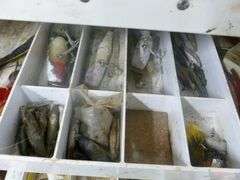 Large Tackle Box / With Baits / Tackle