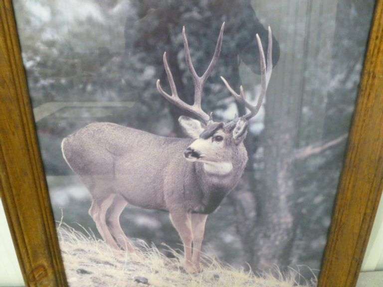 Deer Themed Framed Picture