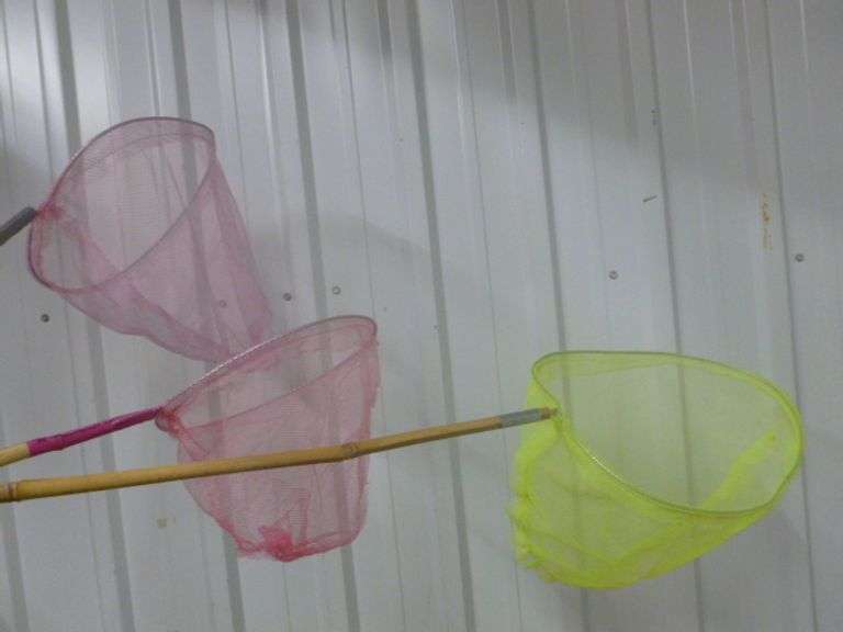 (3) Bamboo Handled Butterfly Nets - 32 & 48"
