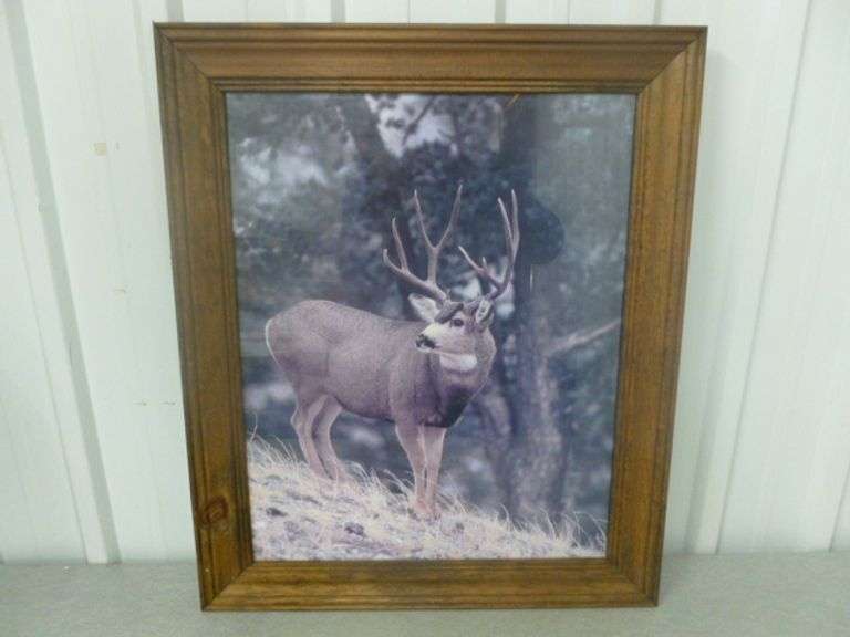 Deer Themed Framed Picture