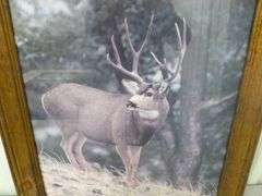 Deer Themed Framed Picture