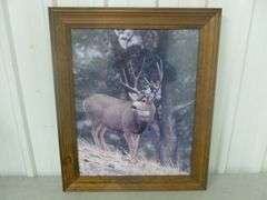 Deer Themed Framed Picture
