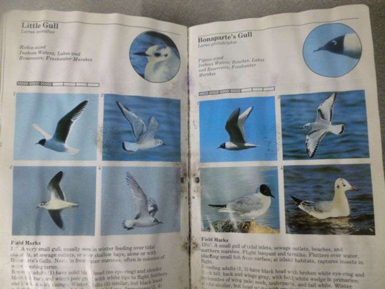 (2) Bird Books - Eastern Birds Audubon Handbook