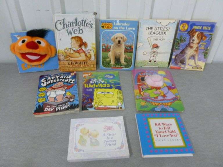 Large Group Of Kids Books