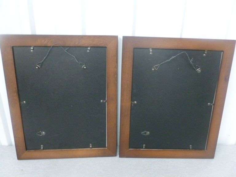 (2) Grand Canyon National Park Framed & Matted Pictures