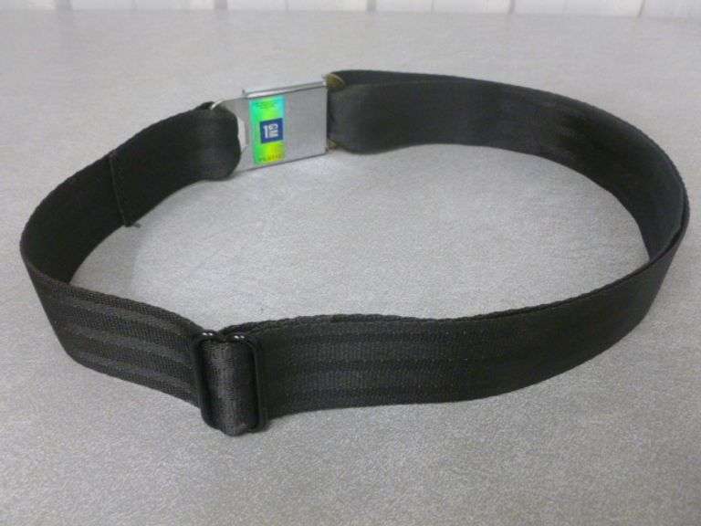 Buckle Down - Genuine Chevrolet Belt