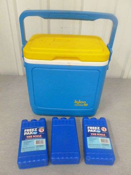 Igloo Tag-Along 10 Lunch Cooler With Ice Packs