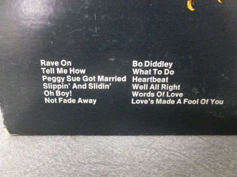 Vintage Buddy Holly (2) LP Record Set