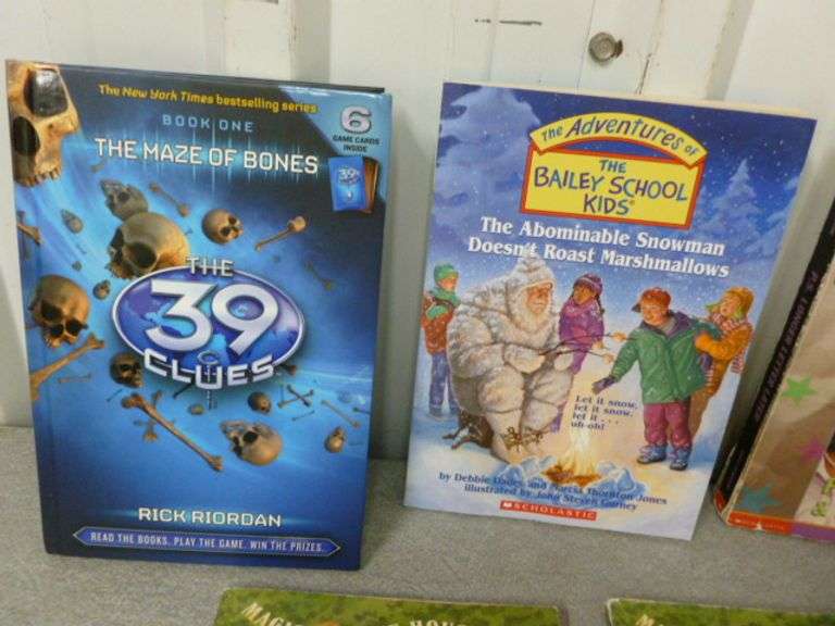 Large Group Of Kids Books