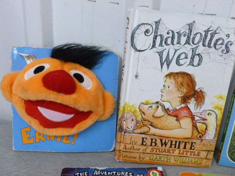 Large Group Of Kids Books