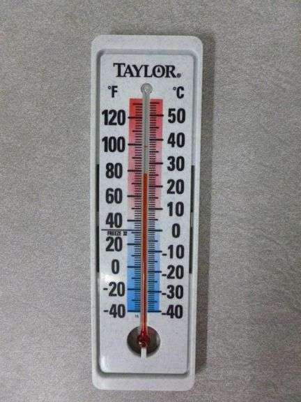 Taylor Outdoor Poly Thermometer - 8" L