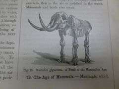 Antique Houston's Physical Geography Book - 1884