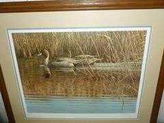 Beautiful Large Gary Wonose " Reflections Pintails " Signed & Numbered Framed and Matted Print