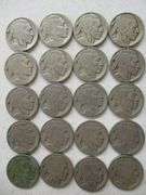 20 - Buffalo Nickels w/Dates