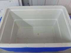Coleman 40 Quart Cooler