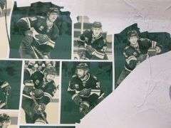 Group Of Minnesota Wild Collectibles / Includes (2) Koivu Retirement Stadium Souvenirs