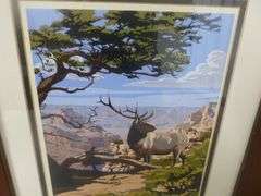 (2) Grand Canyon National Park Framed & Matted Pictures