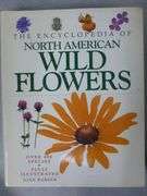 (3) Wildflower / Wildlife Themed Picture Books