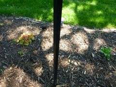 Quadruple Shepard's Hook - 60" H