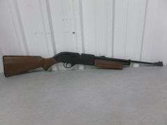 Pumpmaster 760 BB/Pellet Gun